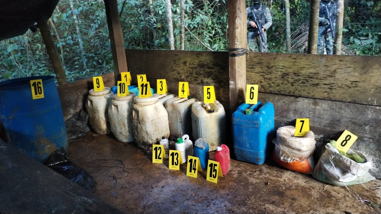 Guatemala registra aumento en el cultivo y producción de hoja de coca