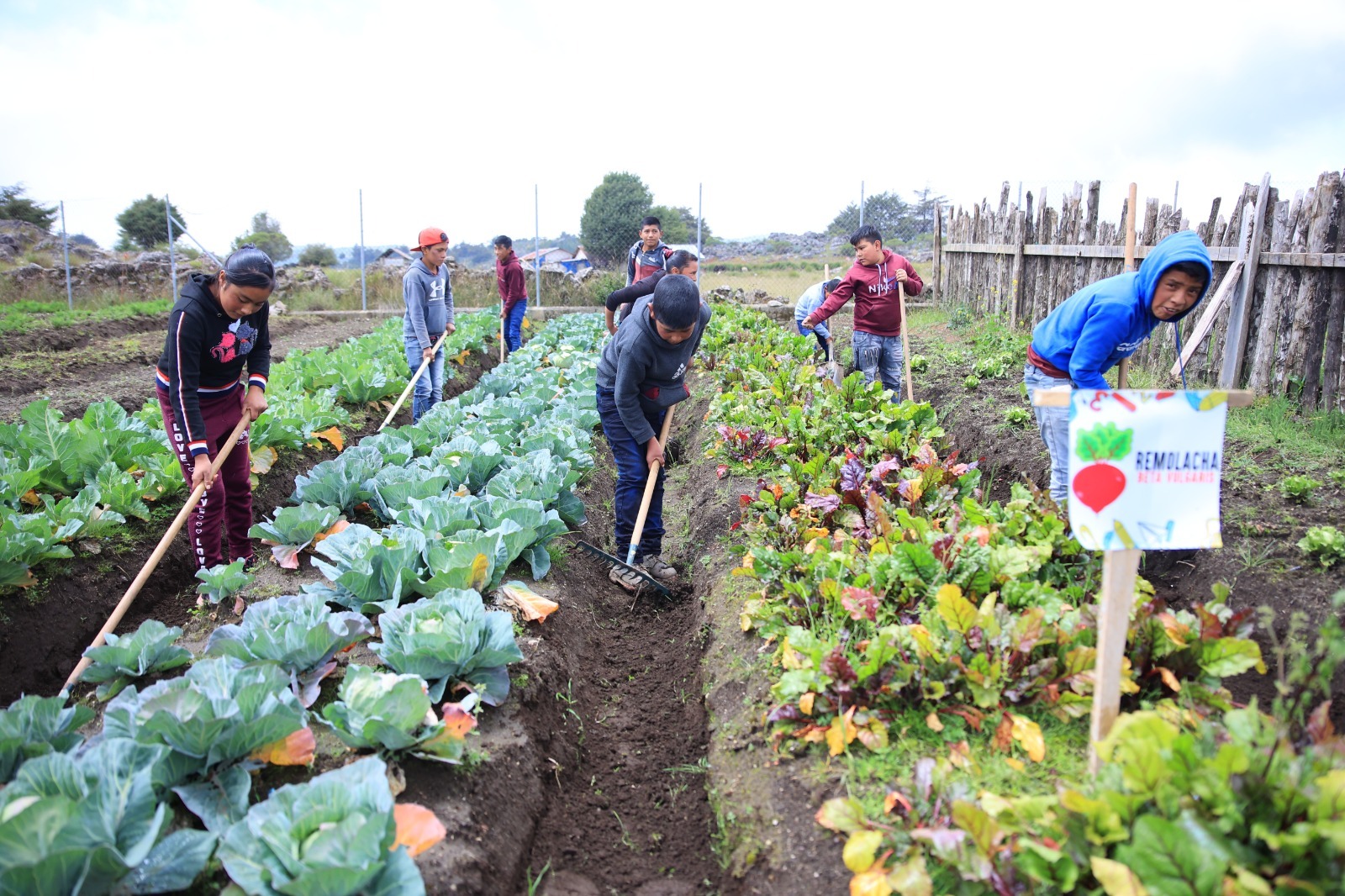 Huertos Escolares Educación Agrícola en Guatemala