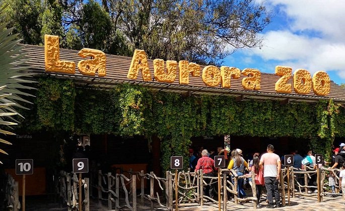 El Zoológico La Aurora recibe a miles de visitantes para conmemorar su centenario, destacando su rol en la preservación de especies.