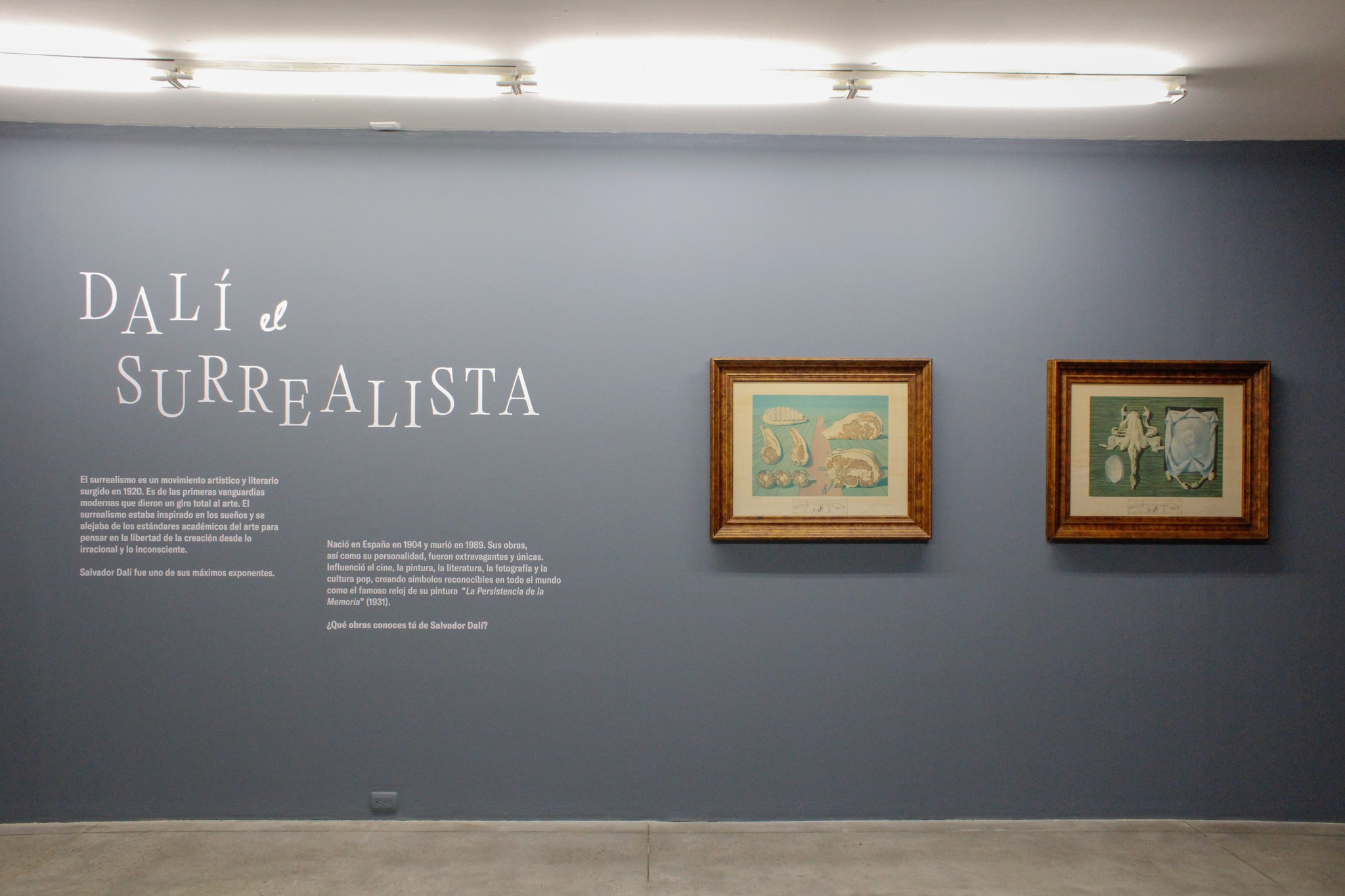 Salvador Dalí llega a Guatemala: Una Exposición Surrealista