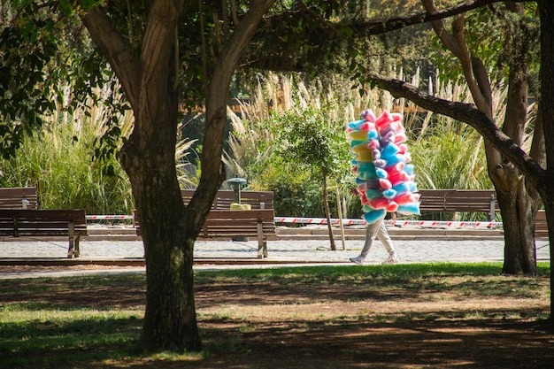Festival en el Parque Las Casuarinas.