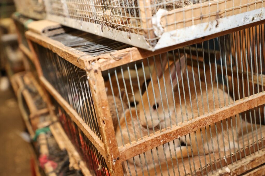 mercado El Guarda operativo