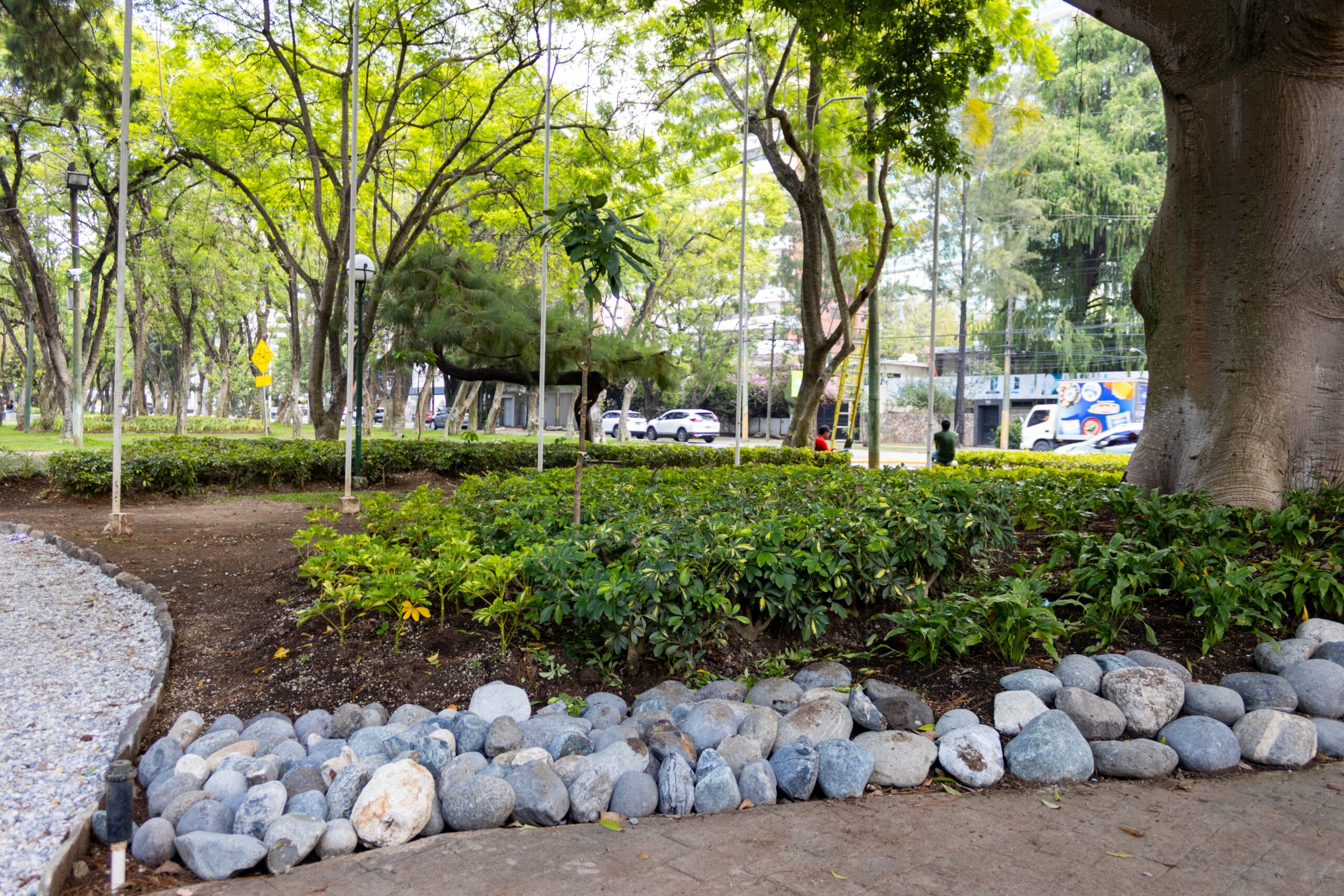 jardin polinizador plaza rubén darío