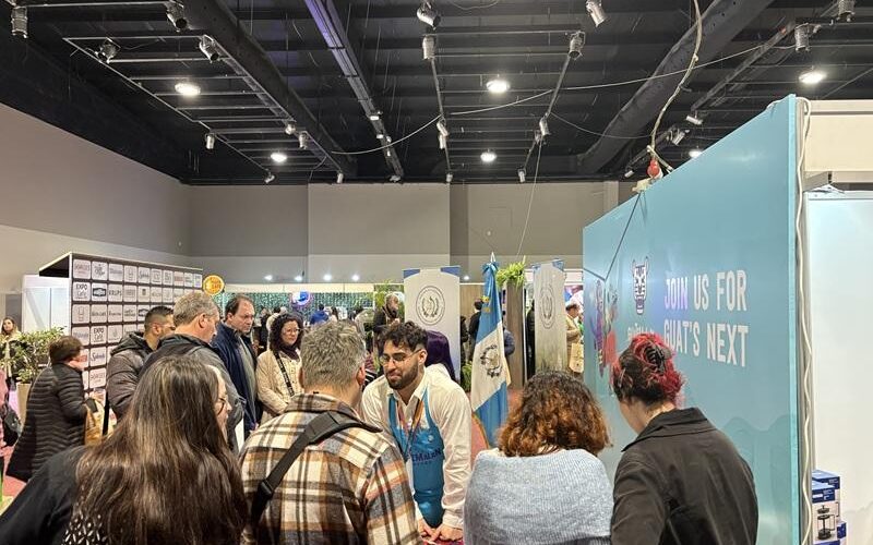 expo café guatemala