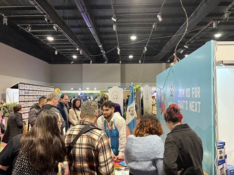 expo café guatemala