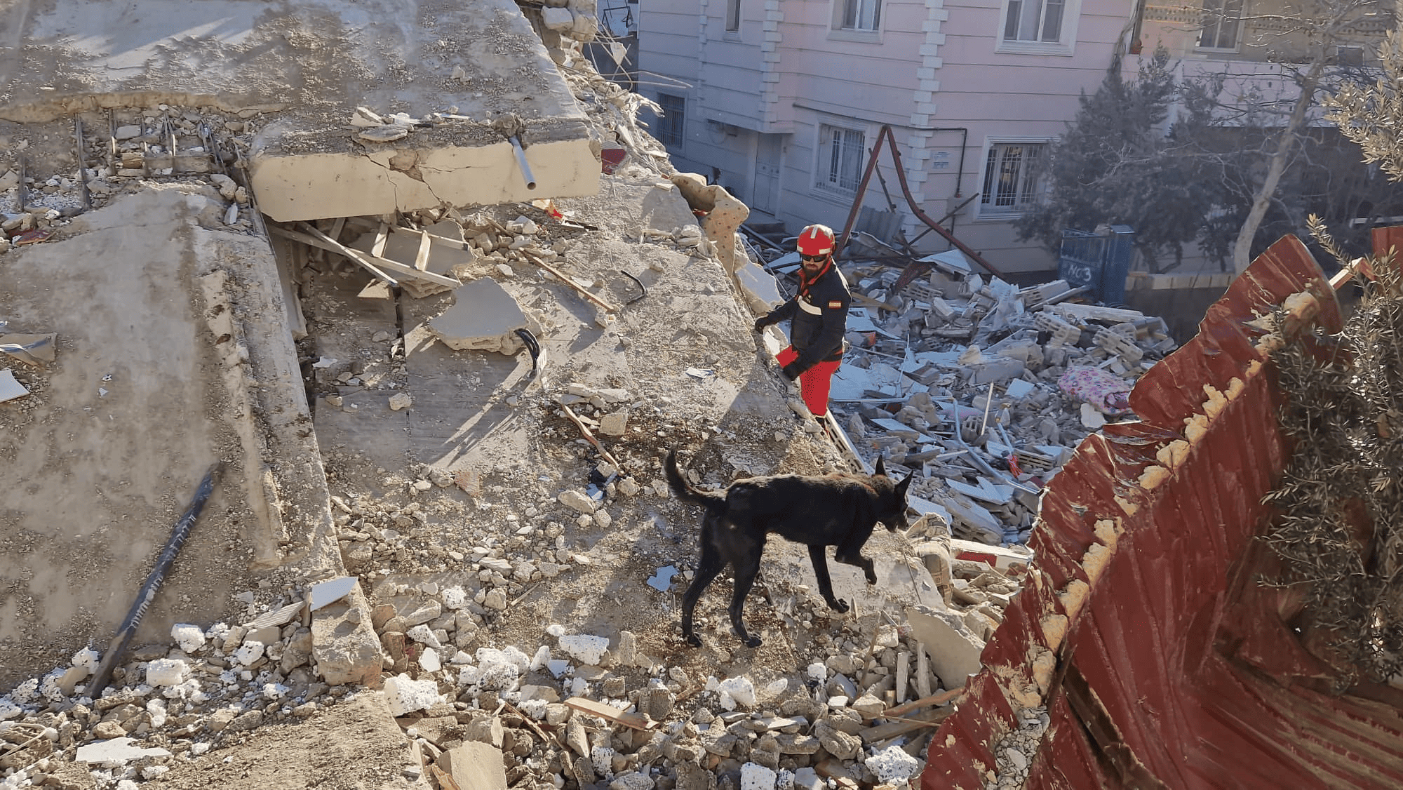 Servicios de emergencia ya trabajan en labores de rescate