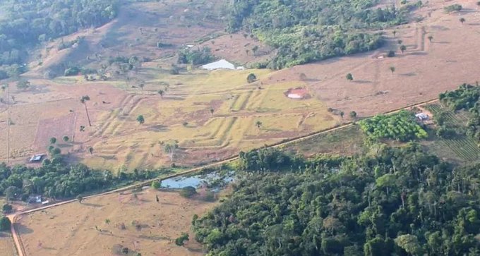 Un grupo internacional de científicos identificó más de 20 mil geoglifos ocultos bajo la selva amazónica