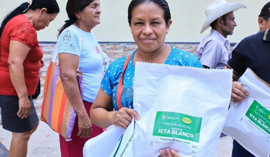 Autoridades del MAGA e ICTA junto a productores agrícolas durante la liberación oficial de la nueva variedad de sorgo ICTA Blanco en Estanzuela, Zacapa.