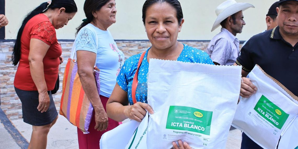 Autoridades del MAGA e ICTA junto a productores agrícolas durante la liberación oficial de la nueva variedad de sorgo ICTA Blanco en Estanzuela, Zacapa.