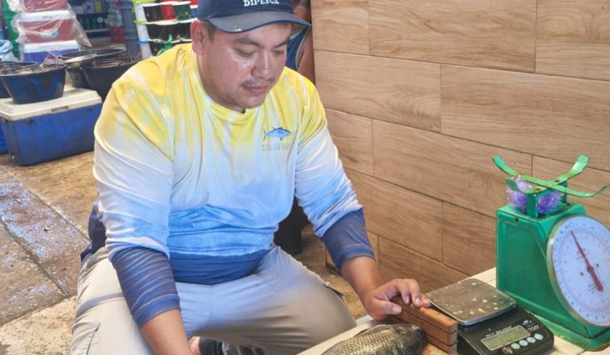 Técnicos de la DIPESCA y pescadores artesanales recolectando y clasificando especímenes durante el séptimo monitoreo pesquero.