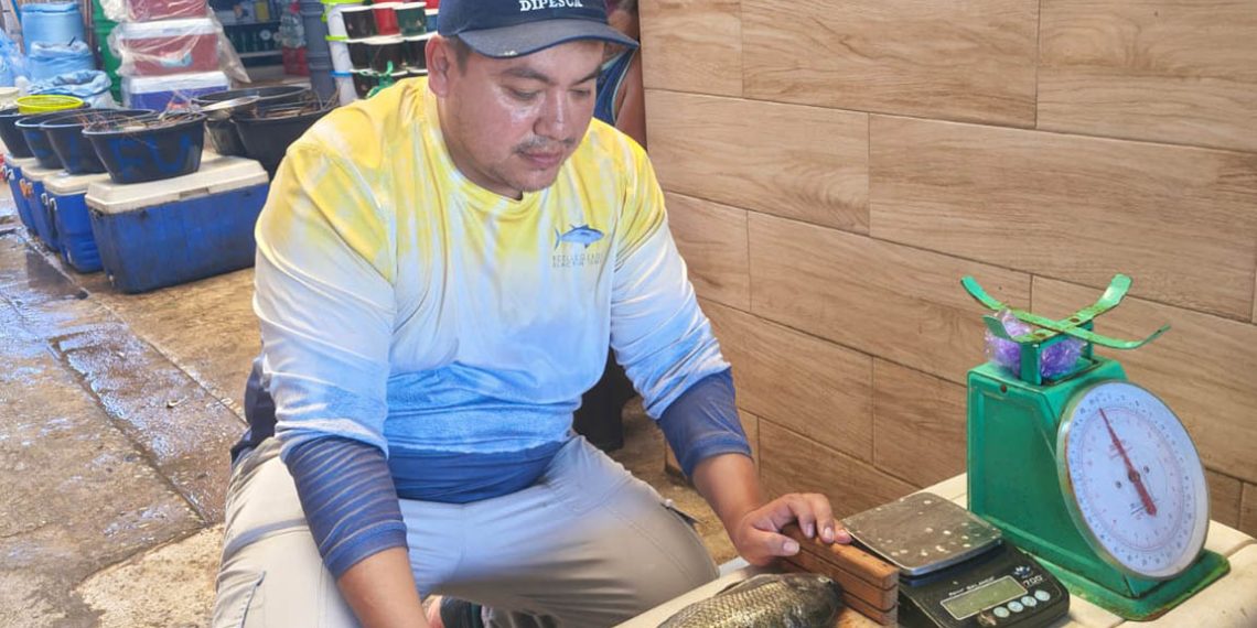 Técnicos de la DIPESCA y pescadores artesanales recolectando y clasificando especímenes durante el séptimo monitoreo pesquero.